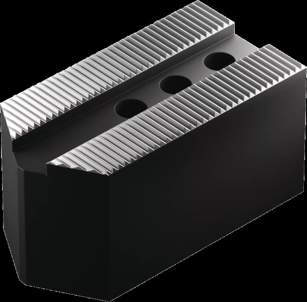 Aufsatzbacken SWB-FR130