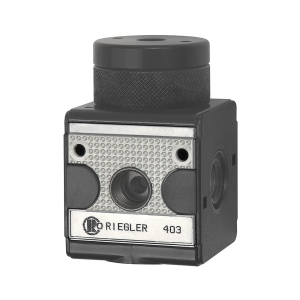 ID: 100462 - Druckregler pneumatisch ferngesteuert »multifix«, BG 1, G 1/4