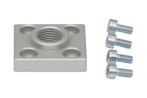 BEF-PL 31x34x11.5 G1/4-IG SNG