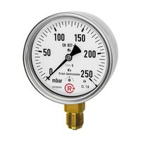 ID: 199277 - Kapselfedermanometer, CrNi-Stahl, G 1/2 unten, 0-100 mbar, Ø 100