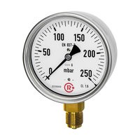 ID: 199299 - Kapselfedermanometer, G 1/2 radial unten, 0 - 250 mbar, Ø 100