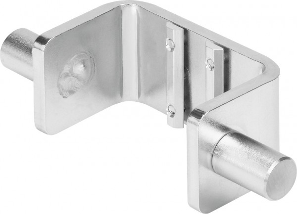 EAHS-P1-40 Schwenkbefestigung